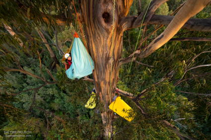 Custom Climbing Gear- The Tree Project